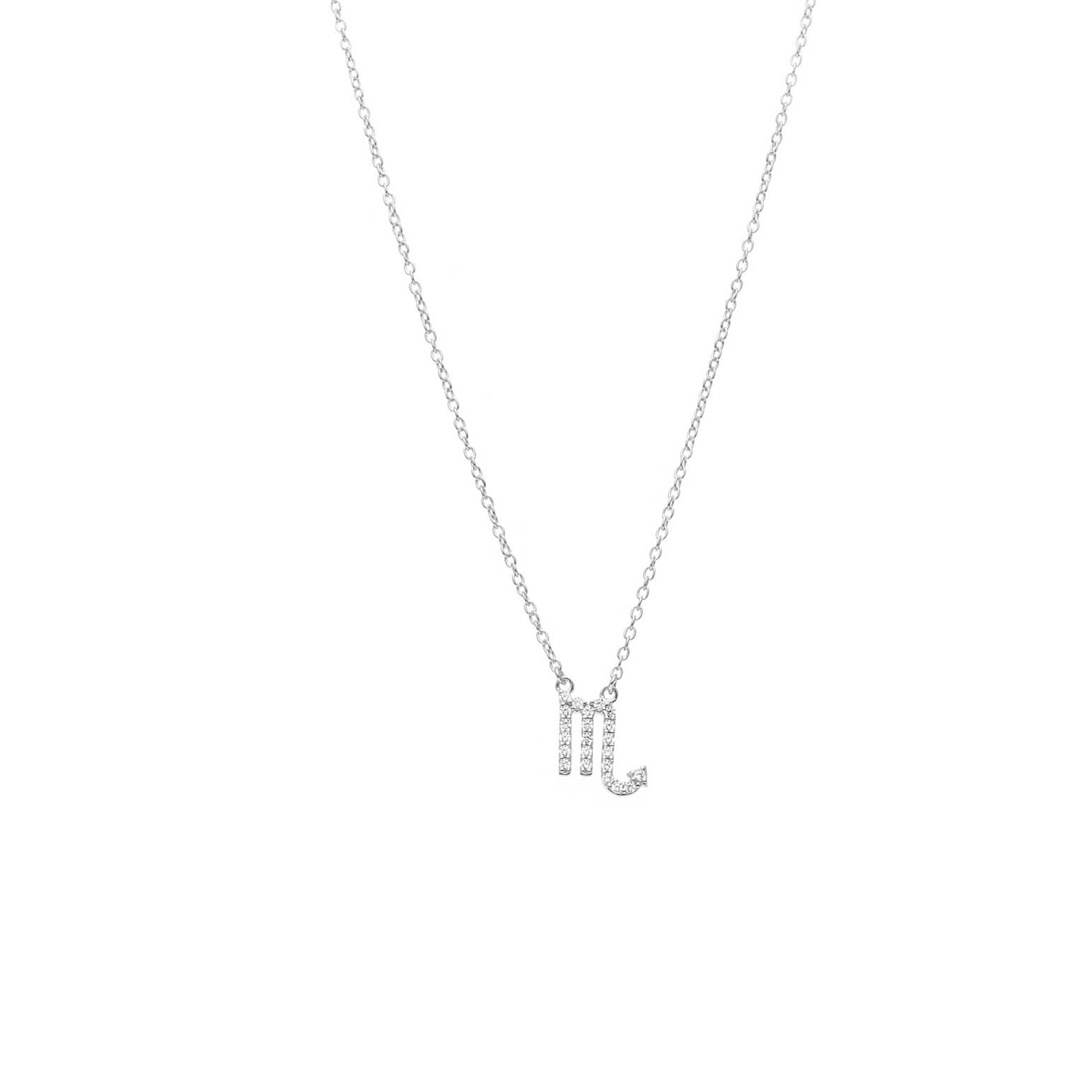 Silk & Steel Scorpio Necklace